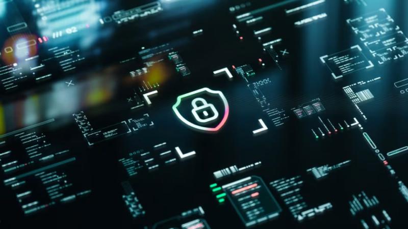 闵行区软件开发公司